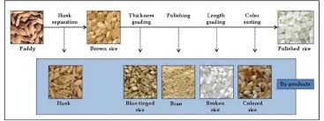 Manufacturing Process